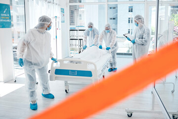 Wall Mural - Health, doctor and covid, quarantine and ppe with face mask for safety at clinic, healthcare and medical professional with patient. Hospital, medicine and virus with pandemic and covid 19 protocol.