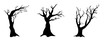 naked tree silhouette design. leafless plant illustration. nature vector background.
