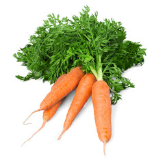 Wall Mural - Carrot vegetable with leaves isolated on white background cutout