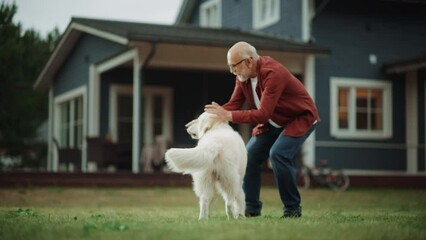 Wall Mural - Active Senior Man Enjoying Time Outside with a Pet Dog, Playing with an Energetic White Golden Retriever. Happy Adult Treating a Dog with a Snack During the Training Session on a Front Yard at Home.