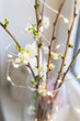Blooming cherry branches with garland in a glass vase