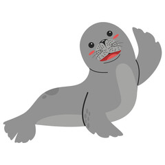  Seal animal cartoon flat vector