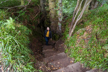Woman Walking Up Stone Stairs In Forest