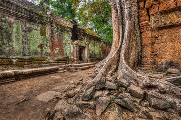 Fototapete - High dynamic range (hdr) image of ancient ruins with trees, Ta Prohm temple, Angkor, Cambodia