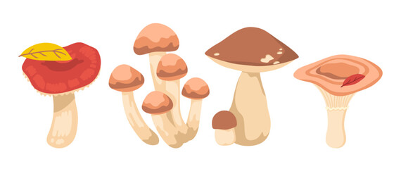Wall Mural - Different edible wild mushrooms vector illustrations set. Collection of cartoon drawings of fungi, russula, porcini, milk mushroom isolated on white background. Nature, food concept