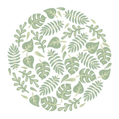 Wall Mural - Round pattern with green leaves vector illustration. Leaves of houseplants or trees of different shapes in circle isolated on white background. Nature, spring, summer, decoration, botany concept
