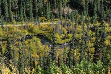 Wall Mural - Canada, Yukon, view of a mountain river 