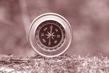 Wall Mural - round compass on natural background