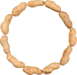 Poster - Raw peanuts in shells frame with copy space