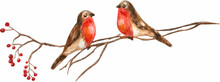 Pair Of Bullfinches On A Twig With Berries, Imitation Watercolor, On A Transparent Background, Vector Postcard