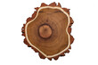 The Acacia wood plaster, natural texture


