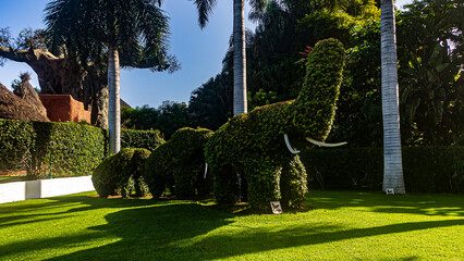 Canvas Print - park in the park