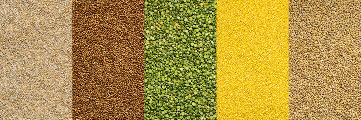 Various grain cereals banner, top view, barley grits and brown buckwheat, green peas and corn grits, pearl barley