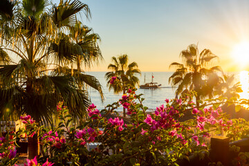 Wall Mural - Scenic sunset with palm trees and flowers