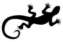 Black Silhouette Lizard Tattoo Vector Illustration