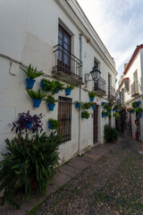 Wall Mural - The Calleja de las Flores in Cordoba, Spain