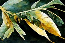 Green And Gold Leaf Branches On Rough Paper Texture, Watercolor Painting Of Botanical Background
