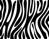 Fototapeta Konie - seamless zebra skin pattern.