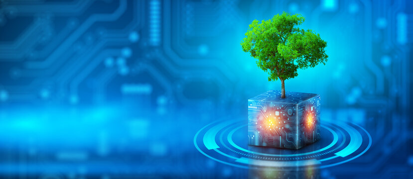 Wall Mural -  - Tree growing on Circuit Digital Cube. Digital and Technology Convergence. Blue light and Wireframe network background. Green Computing, Green Technology, Green IT, csr, and IT ethics Concept.