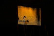 Silhouette Of Paddle Boarder With Dog At Sunset
