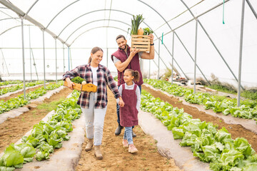 Poster - Child with parents on family farm, vegetables garden in greenhouse or self sustainable lifestyle in Brazil. Healthy agriculture plants, happy mother and father with fruit food basket walking together