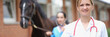 © H_Ko - Veterinarian doctor holds horse certificate in background