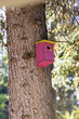 Bright pink birdhouse on a tree. Self-made wood birdhouse with yellow roof.