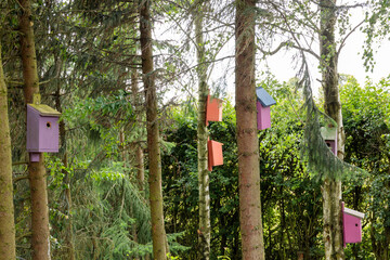 Colorful wooden nesting boxes for birds