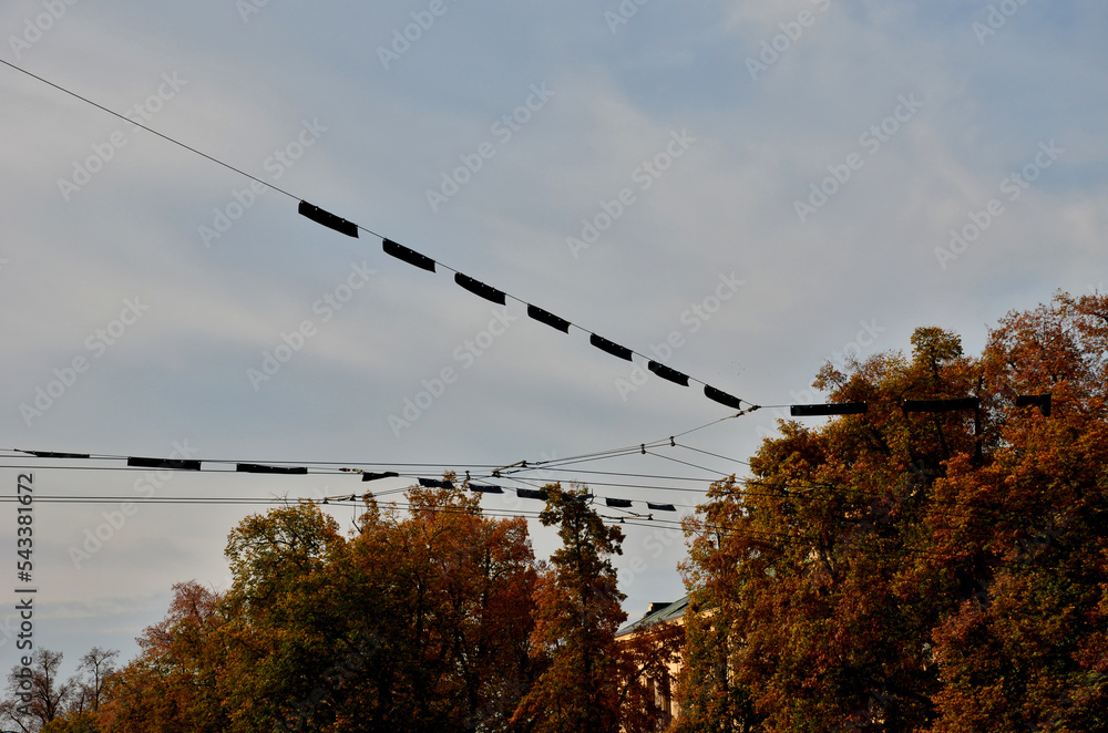 Trolley bus is an ecological solution for overhead transport in the ...