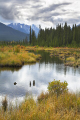 Wall Mural - Fine ripples