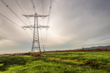 Wall Mural - High voltage pylons in a Dutch polder landscape on a cloudy day in autumn. It is still early in the morning, the mist is disappearing and the grass is still wet with the morning dew.