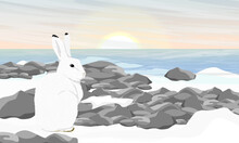 The Polar Hare Sits On The Ocean Shore. Wild Animal Of The Arctic Tundra. Realistic Vector Landscape