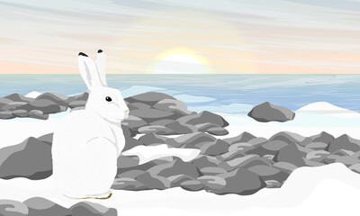 Wall Mural - The polar hare sits on the ocean shore. Wild animal of the Arctic tundra. Realistic vector landscape