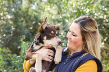 Smiling Young Woman Holding Her Pet Australian Kelpie Puppy Dog With Green Bokeh Background