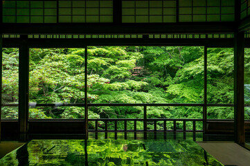  京都 瑠璃光院のもみじの緑を反射した美しいテーブル