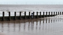 Two Boys Playing On Wooden Wave Breaker Poles With Seagulls, English Winter Beach Scenery, Nature Background Video