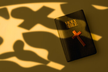 Wall Mural - Holy Bible in warm window light and shadow
