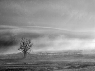 Canvas Print - rural