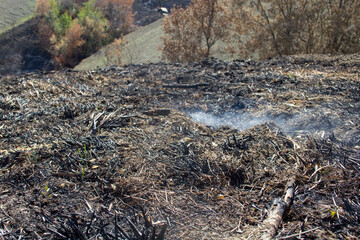 Image of a still burnt ground with smoke. Reference to the problem of fires, climate change and drought
