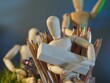 © PamelaCarpenter - Wooden Drawing Models with Colored Pencils