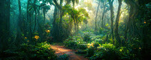 Enchanted Tropical Rain Forest