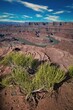 Scenic vertical view of a beautiful canyon with a river during daytime