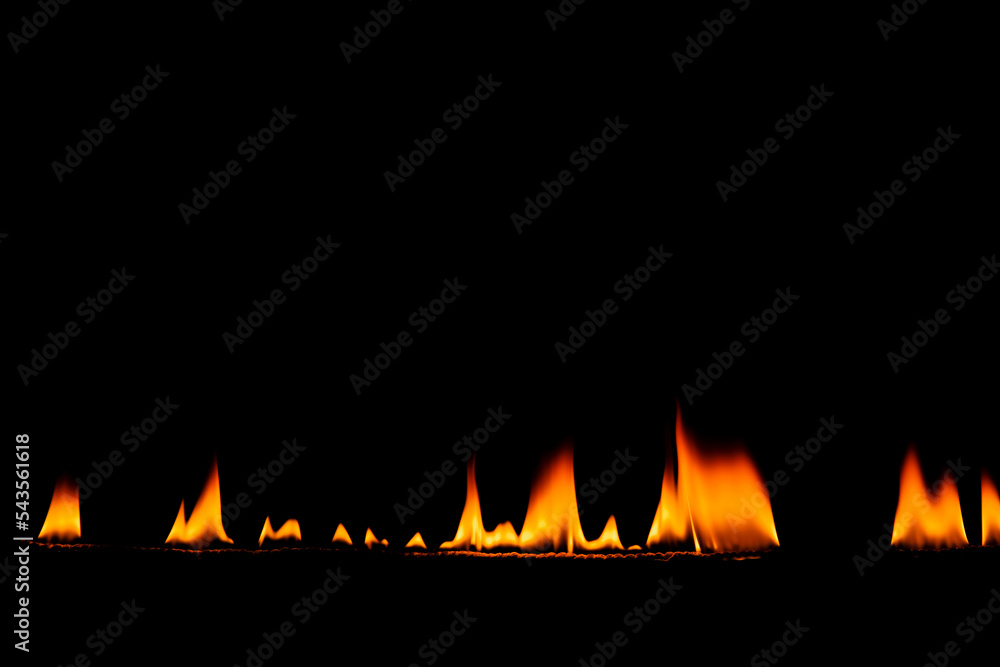 Burning flame on black background