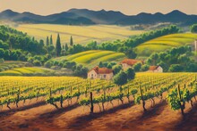 Wine Farm Illustration, Wine Plantations