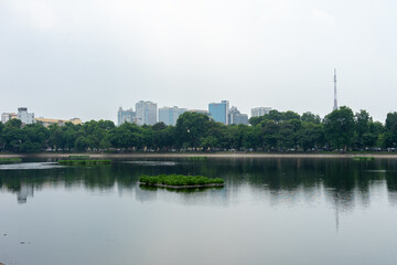 Wall Mural - View of downtown Hanoi from the park