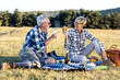 © pucko_ns - Senior couple make picnic on nature with blanket full of food, he drink vine while she holding red apple and talk to each other