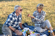 © pucko_ns - Two senior couple sitting on blanket full of food and dring vine in nature and feed each other
