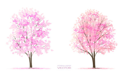 Wall Mural - vector watercolor blooming flower,tree or forest side view isolated on white background for landscap