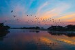 Sunset scene of silhouette birds flying over reflecting lake with trees