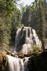 Wall Mural - High cascading waterfall in the forest with trees, vertical shot